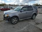 2008 Ford Escape Limited