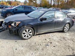 Honda Accord salvage cars for sale: 2008 Honda Accord EXL