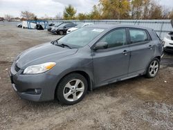 Salvage cars for sale from Copart London, ON: 2013 Toyota Corolla Matrix