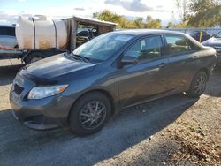 Salvage cars for sale from Copart London, ON: 2009 Toyota Corolla Base