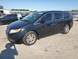 Honda Odyssey exl salvage cars for sale: 2014 Honda Odyssey EXL