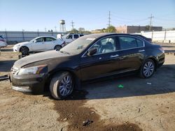 Honda salvage cars for sale: 2011 Honda Accord EXL