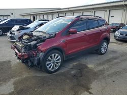 Ford Escape sel salvage cars for sale: 2019 Ford Escape SEL