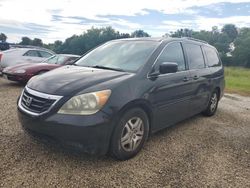 Honda Odyssey exl Vehiculos salvage en venta: 2010 Honda Odyssey EXL