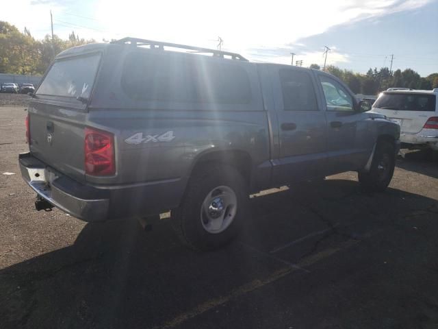 2006 Dodge Dakota Quattro