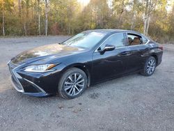 Lexus es250 salvage cars for sale: 2021 Lexus ES 250