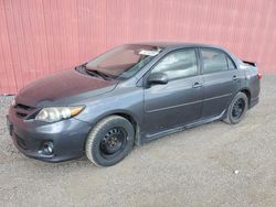 Salvage cars for sale from Copart London, ON: 2013 Toyota Corolla Base