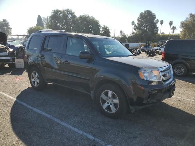 2010 Honda Pilot EXL