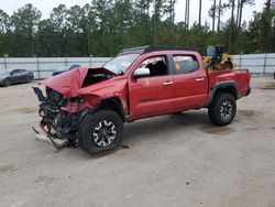 Toyota Tacoma salvage cars for sale: 2019 Toyota Tacoma Double Cab