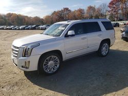 Cadillac salvage cars for sale: 2016 Cadillac Escalade Platinum