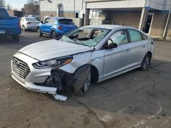 Hyundai Sonata salvage cars for sale: 2019 Hyundai Sonata SE