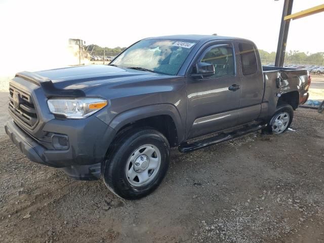 2019 Toyota Tacoma Access Cab