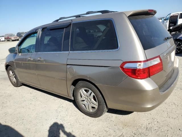 2005 Honda Odyssey EXL