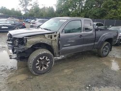 Toyota Tacoma salvage cars for sale: 2013 Toyota Tacoma Prerunner Access Cab