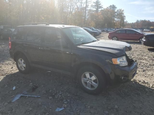 2009 Ford Escape XLT