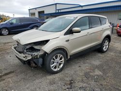 Ford Escape salvage cars for sale: 2017 Ford Escape SE