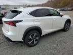 2020 Lexus NX 300