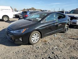 Hyundai Elantra salvage cars for sale: 2020 Hyundai Elantra SE