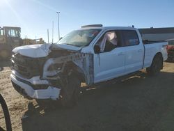 Ford f-150 salvage cars for sale: 2023 Ford F150 Supercrew