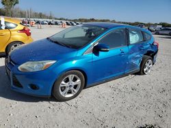 Ford Focus salvage cars for sale: 2014 Ford Focus SE