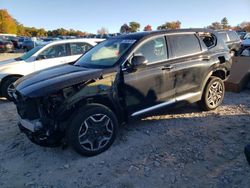 Hyundai Santa fe salvage cars for sale: 2023 Hyundai Santa FE Limited