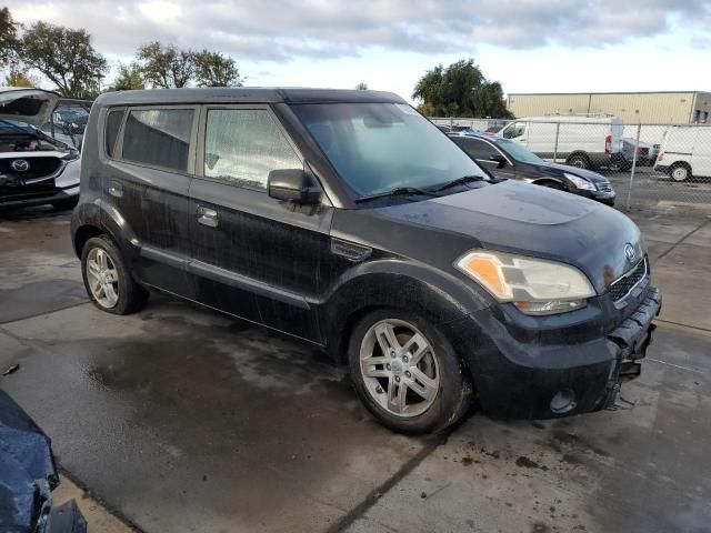 2010 KIA Soul +