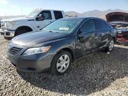 Toyota salvage cars for sale: 2009 Toyota Camry Base