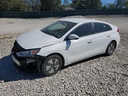 Hyundai Ioniq salvage cars for sale: 2019 Hyundai Ioniq Blue