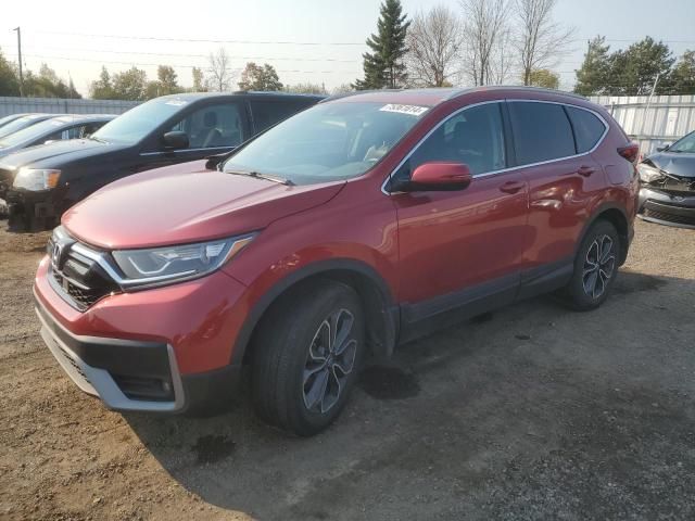 2020 Honda CR-V EXL