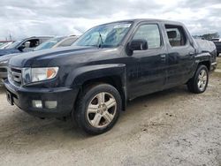 Honda Ridgeline salvage cars for sale: 2009 Honda Ridgeline RTL