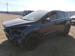 Ford Escape salvage cars for sale: 2019 Ford Escape SE