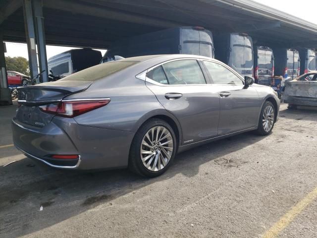 2019 Lexus ES 300H