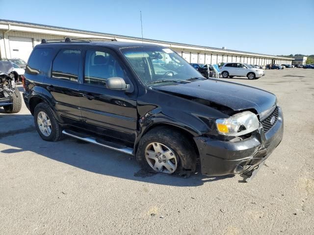 2006 Ford Escape Limited