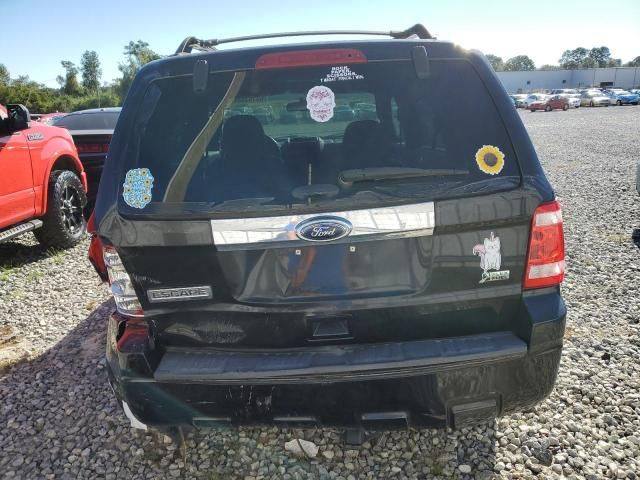 2011 Ford Escape Limited