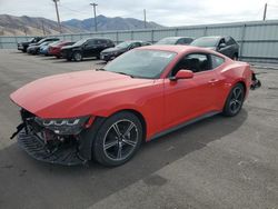 Ford Mustang salvage cars for sale: 2024 Ford Mustang