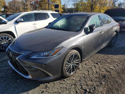 Lexus salvage cars for sale: 2024 Lexus ES 350 Base