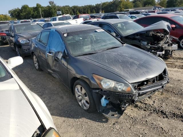 2009 Honda Accord EXL