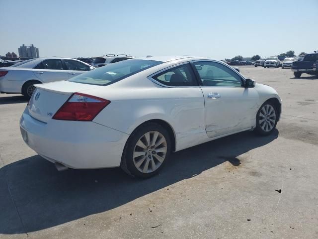 2009 Honda Accord EXL