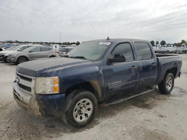 2010 Chevrolet Silverado C1500  LS