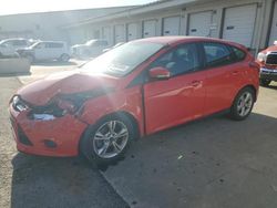 Ford salvage cars for sale: 2014 Ford Focus SE