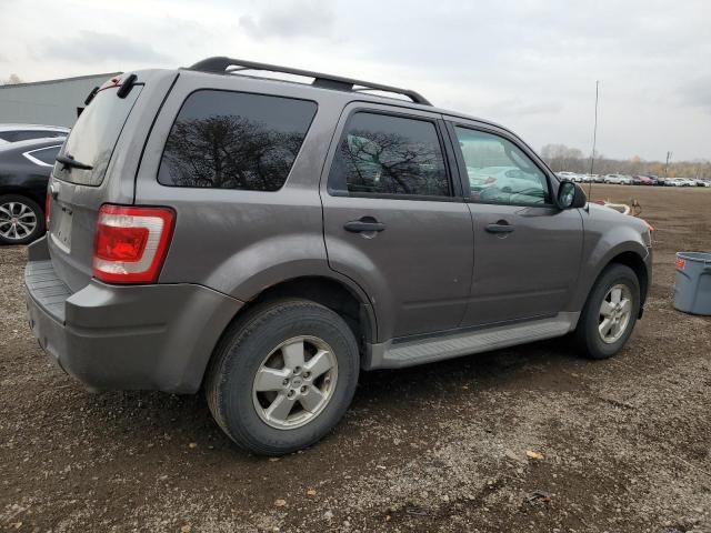 2009 Ford Escape XLT