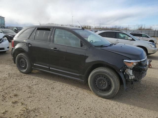 2011 Ford Edge Sport