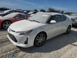 Scion salvage cars for sale: 2015 Scion TC