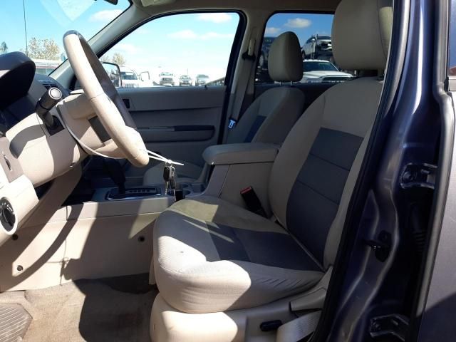 2008 Ford Escape XLT