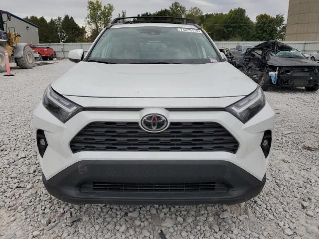 2024 Toyota Rav4 XLE Premium