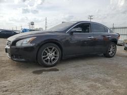 Nissan Maxima salvage cars for sale: 2010 Nissan Maxima S