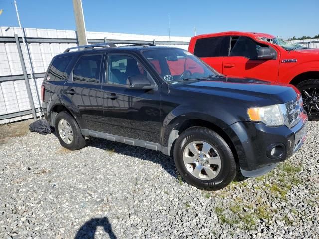 2011 Ford Escape Limited