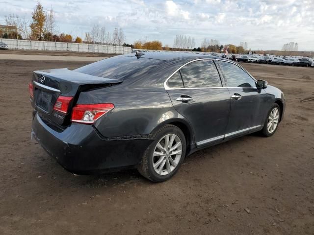 2010 Lexus ES 350