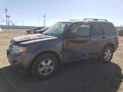 Ford Escape salvage cars for sale: 2011 Ford Escape XLT