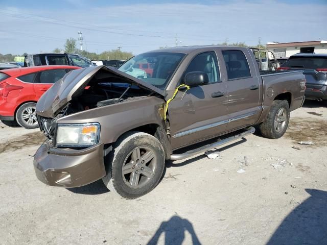 2010 Dodge Dakota Laramie